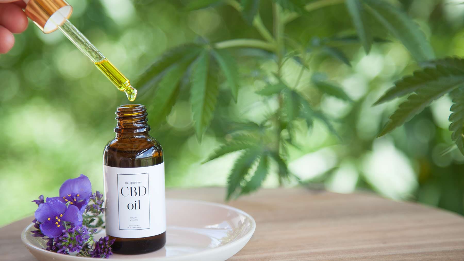 THC Cannabis Oil for Sale in Europe with Fast Delivery